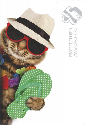 картинка Экранирующий чехол "Кот на отдых" от магазина ПРОКАРД
