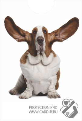 картинка Экранирующий чехол "Собака с большими ушами" от магазина ПРОКАРД